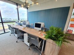 woods-square photo thumbnail #16